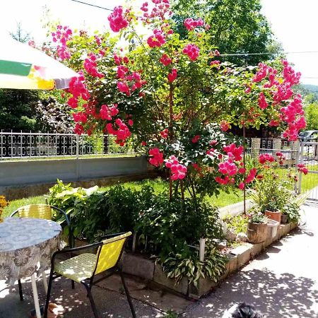 Apartman Vesna أوفجار بانيا المظهر الخارجي الصورة