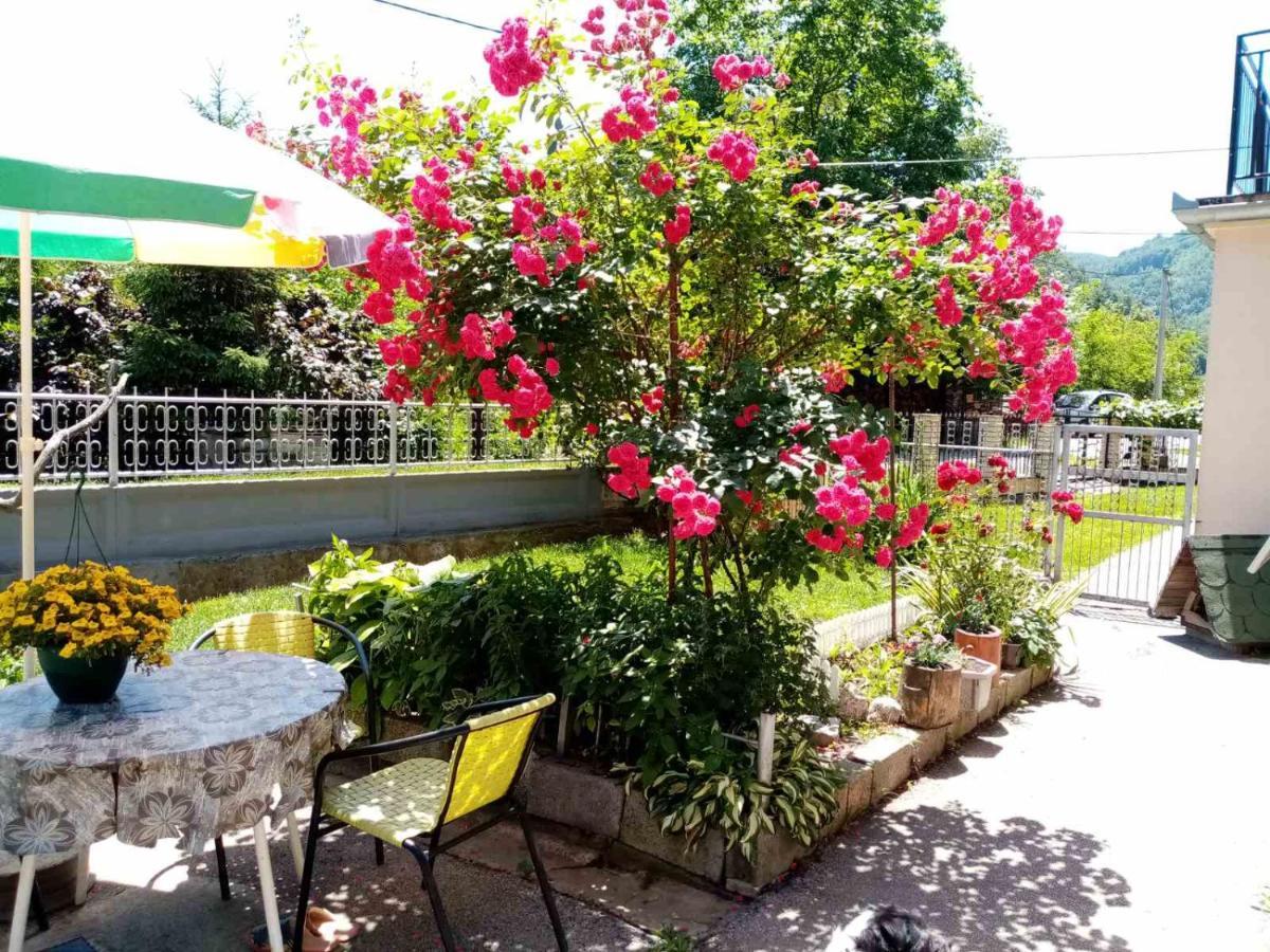 Apartman Vesna أوفجار بانيا المظهر الخارجي الصورة