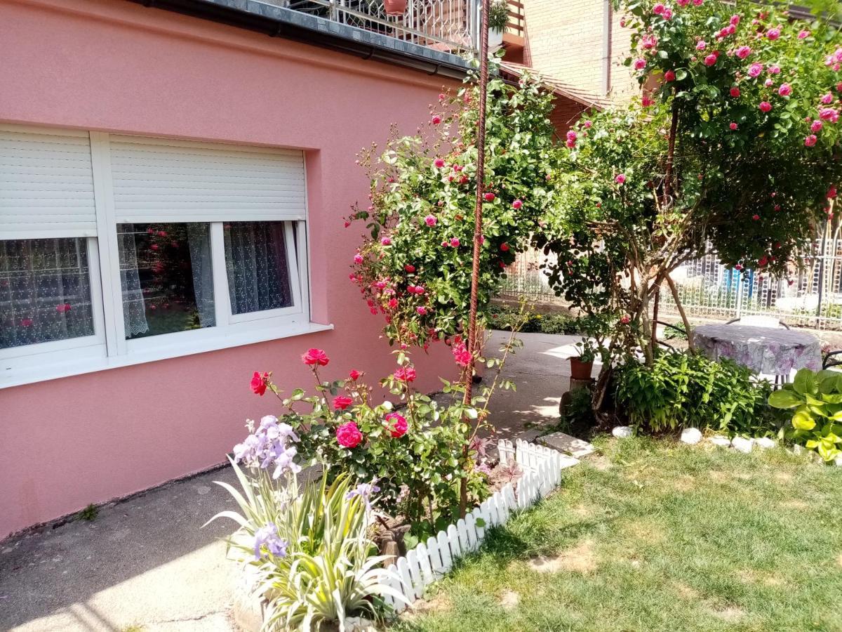 Apartman Vesna أوفجار بانيا المظهر الخارجي الصورة